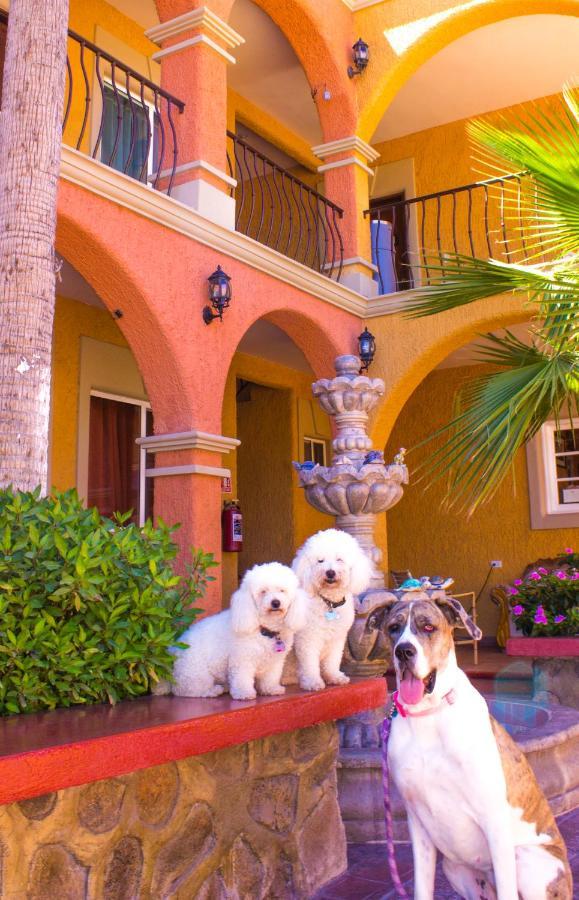 Hotel Angra Loreto  Eksteriør bilde